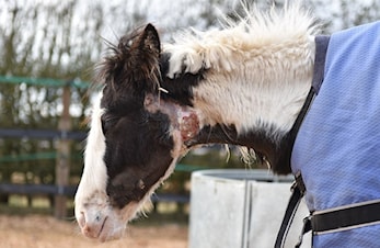 Tenk smittevern - alltid