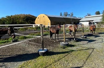 Grønt kort kurs 11.09.2022