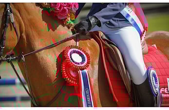 Nå er det finaleklart for FERD Rideskolecup