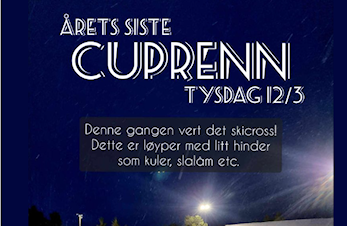 Cuprenn nr 5 i skicross