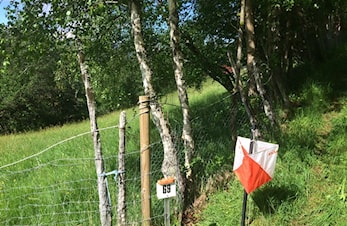 O-troll leir og ungdomssamling i Stryn, 15-16. juni