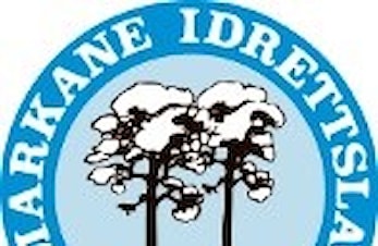 Resultatliste for SSF cup Ullsrennet 2025