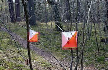 Resultatliste for nær o-løp på Ullsheim