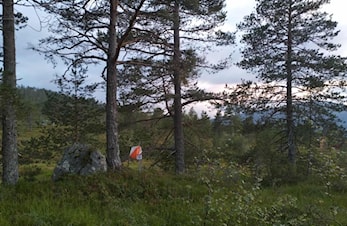 Nær o-løp nr. 7 på Tverrfjellet ved badedammen