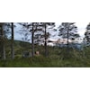 Nær o-løp nr. 7 på Tverrfjellet ved badedammen