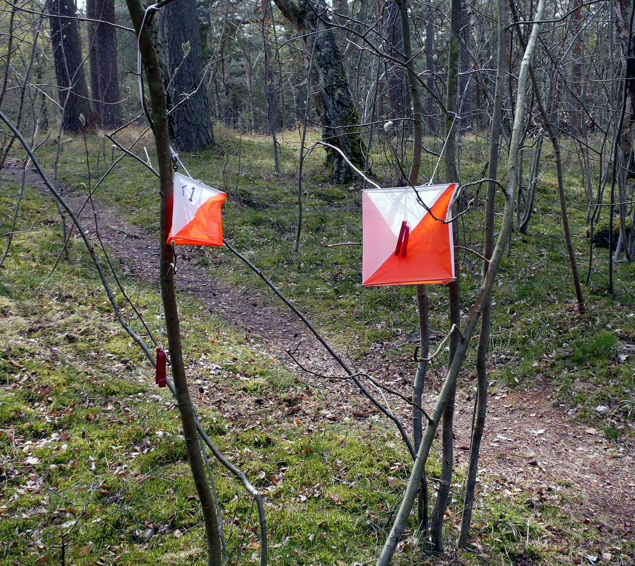 Orienteringssesongen 2026 