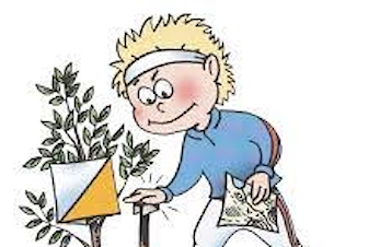 Orientering/Elverumstrimmen