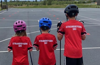 Gratis dagsamling 1. sept - født 2011-14