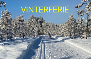 VINTERFERIE