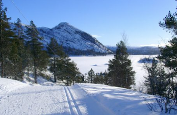 NM del 2 seniorer/jr. avslutning - Hovden