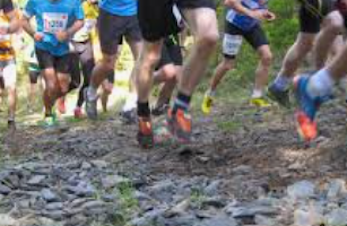 Birken løp 14. juni