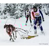 NM del 2 vel overstått :)