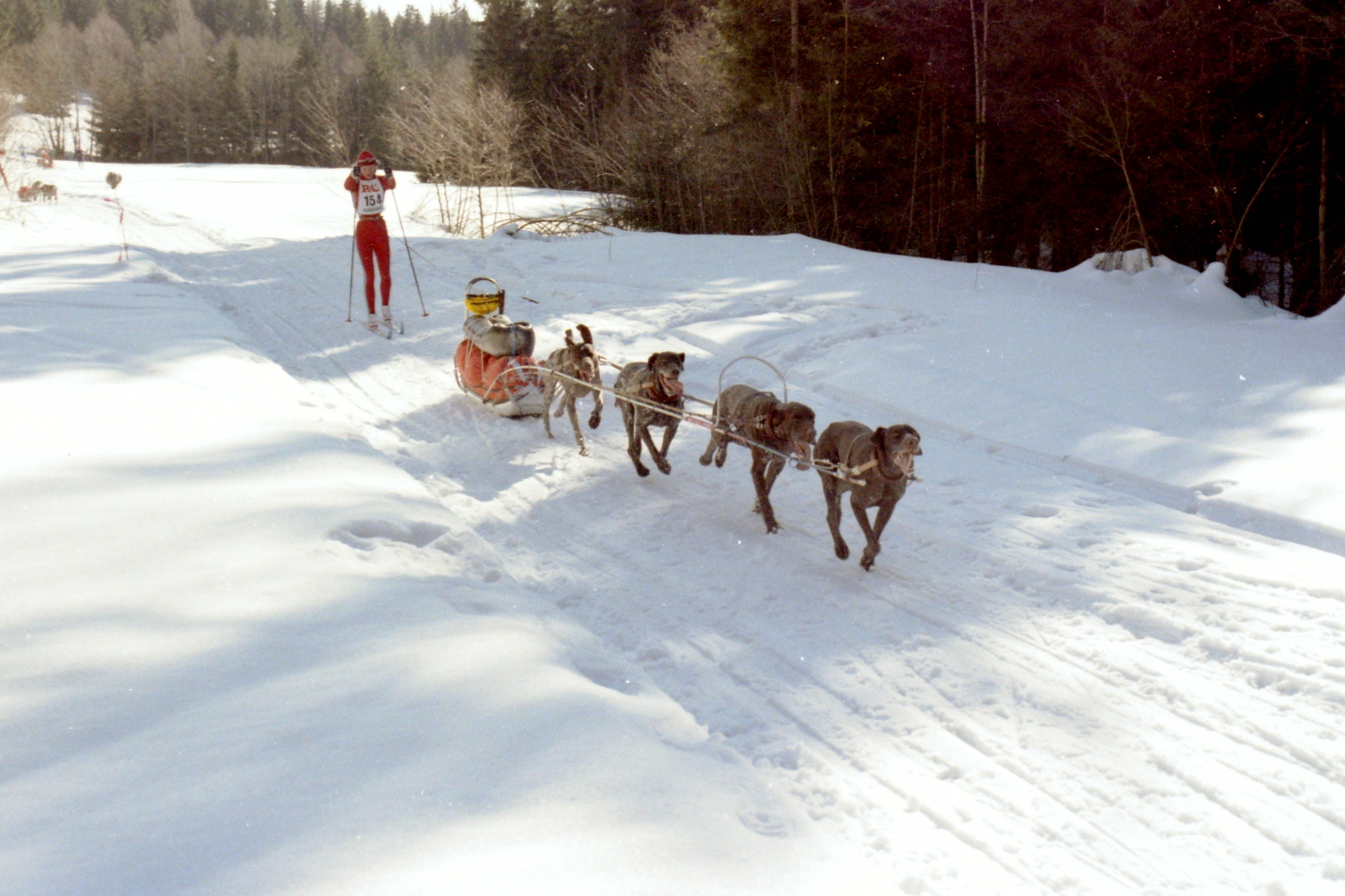NM Del II (Kongepokal) og G/P-mesterskap - 7-8. Mars 2020