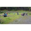 Sommerhundekjørerskolen 2025