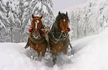 Stallmøte 22.desember