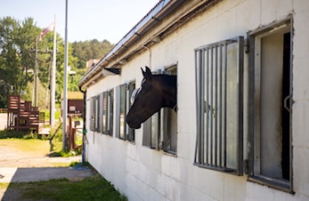 Oppstallørmøter 2021