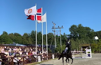 ARBEIDSFORDELING 18-20.JUNI