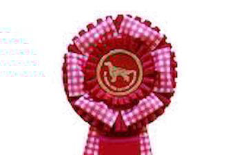 FORELØPIGE CUPRESULTATER