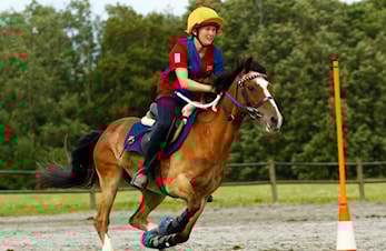 TIL NYE OG GAMLE MEDLEMMER