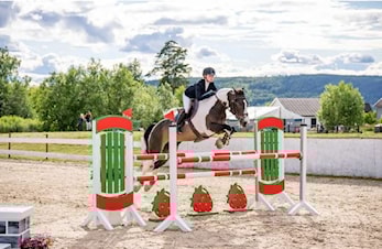 AGR Ryttere til Nordisk Mesterskap