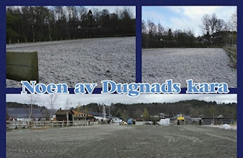 DUGNAD PÅ AGR