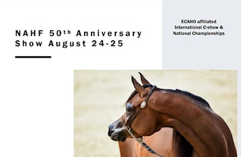 ARABERHEST SHOW PÅ AGR 24-25.AUGUST