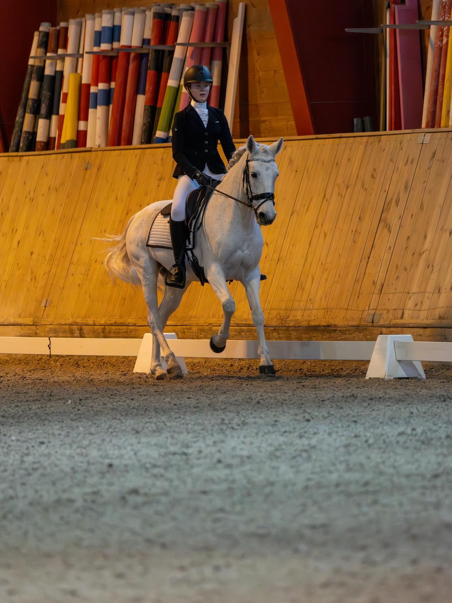 FORELØPIG CUP RESULTAT LILLESANDS SPAREBANK CUP DRESSUR