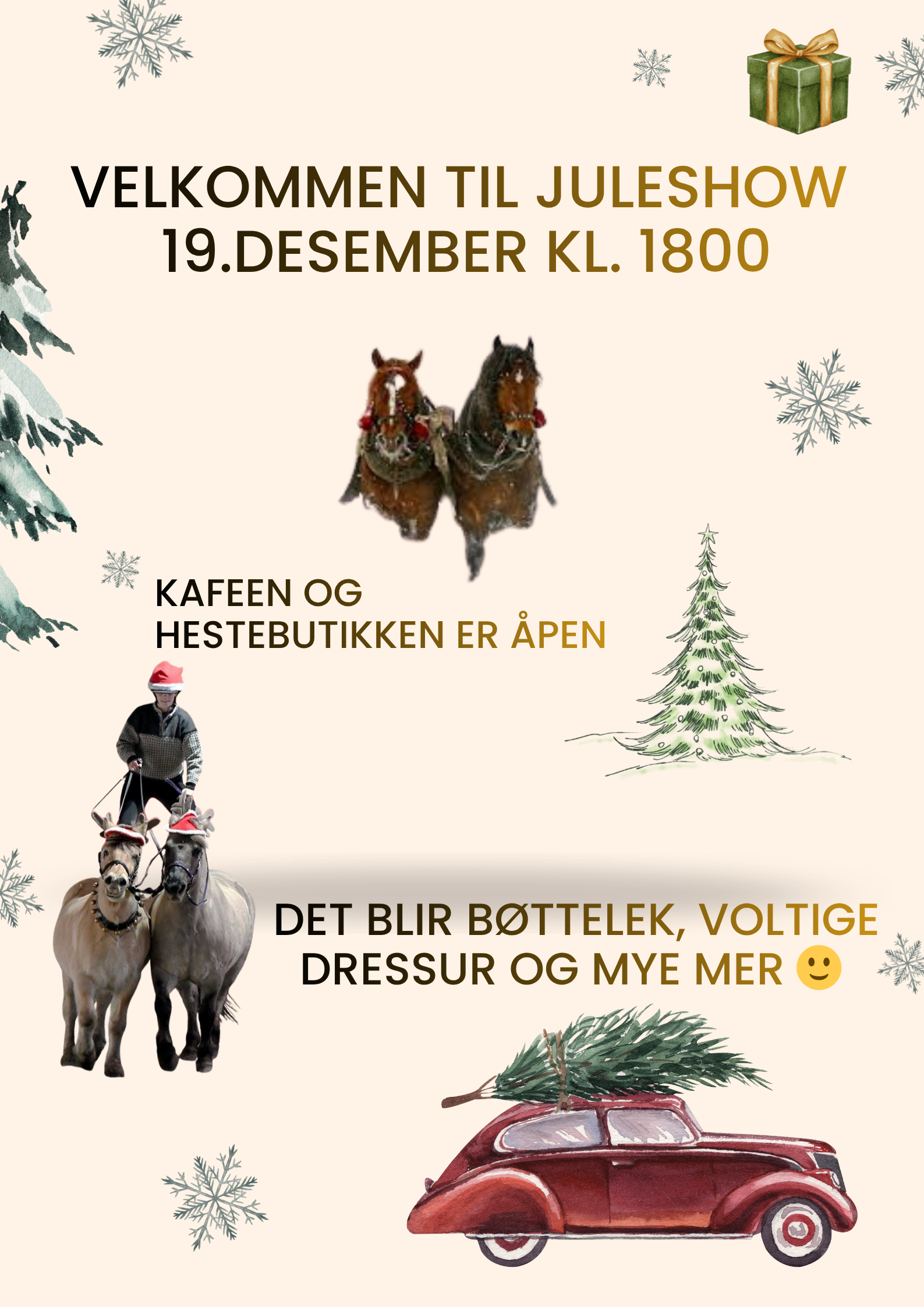 JULESHOW PÅ AGR 19.DESEMBER KL.1800
