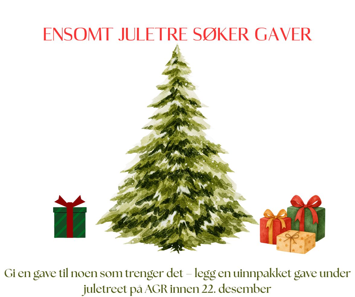 ENSOMT JULETRE SØKER GAVER
