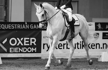 DRESSUR OG BAKKEARBEID SAMLING 12-13. APRIL PÅ AGR!