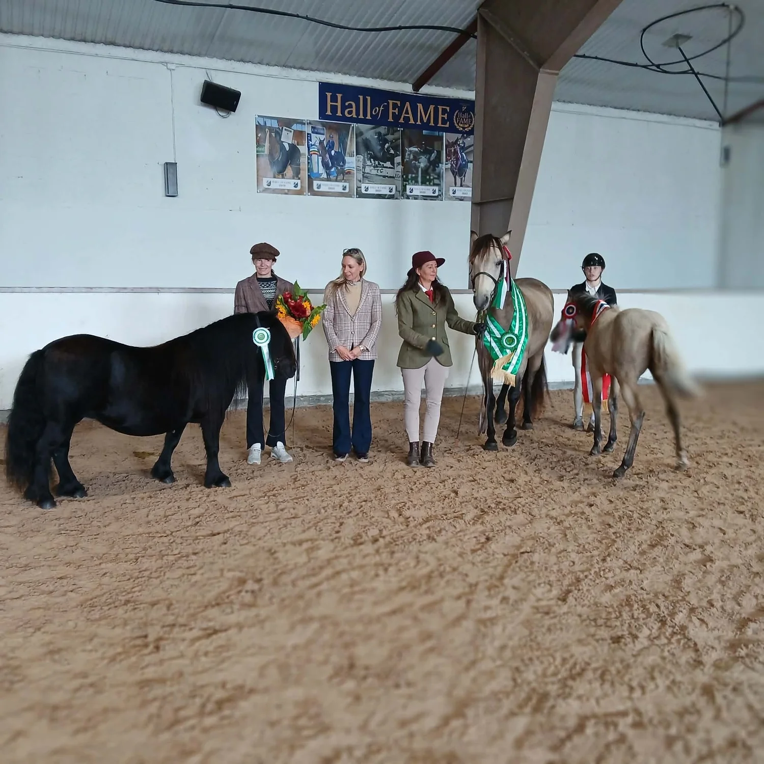 Image for Norsk Ponniavlsforenings utstillinger på AGR