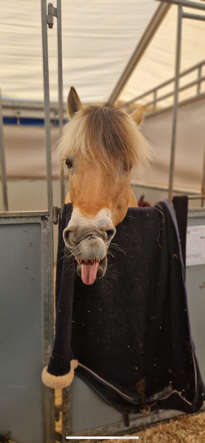 Image for Velkommen til Riding and Dining 10.-11 April på AGR!