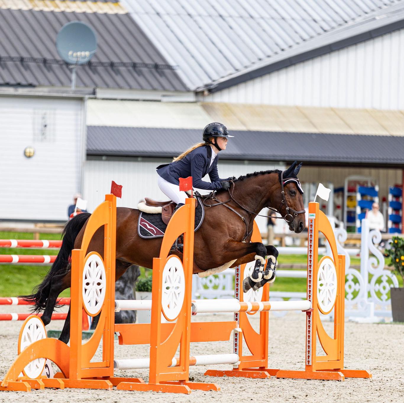 Image for LB ponnicup på AGR 18-19. Juli
