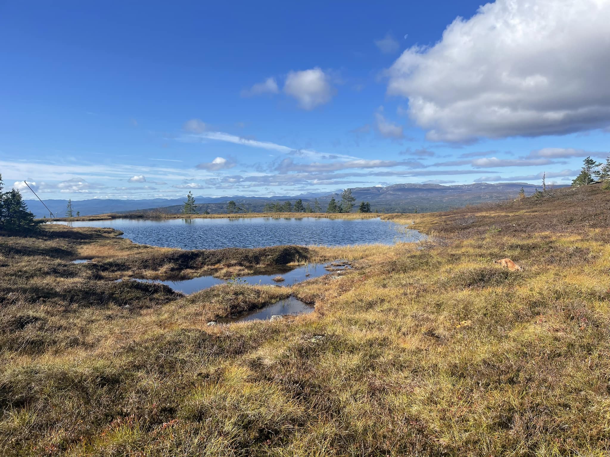 Høstferiehilsen fra Allidretten