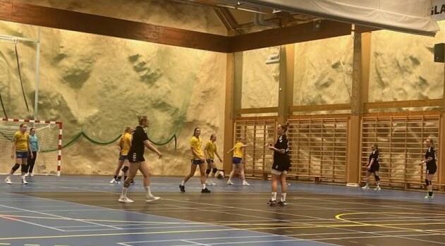 Nyttig generalprøve for damelaget