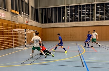 Futsaltrenerens oppsummering