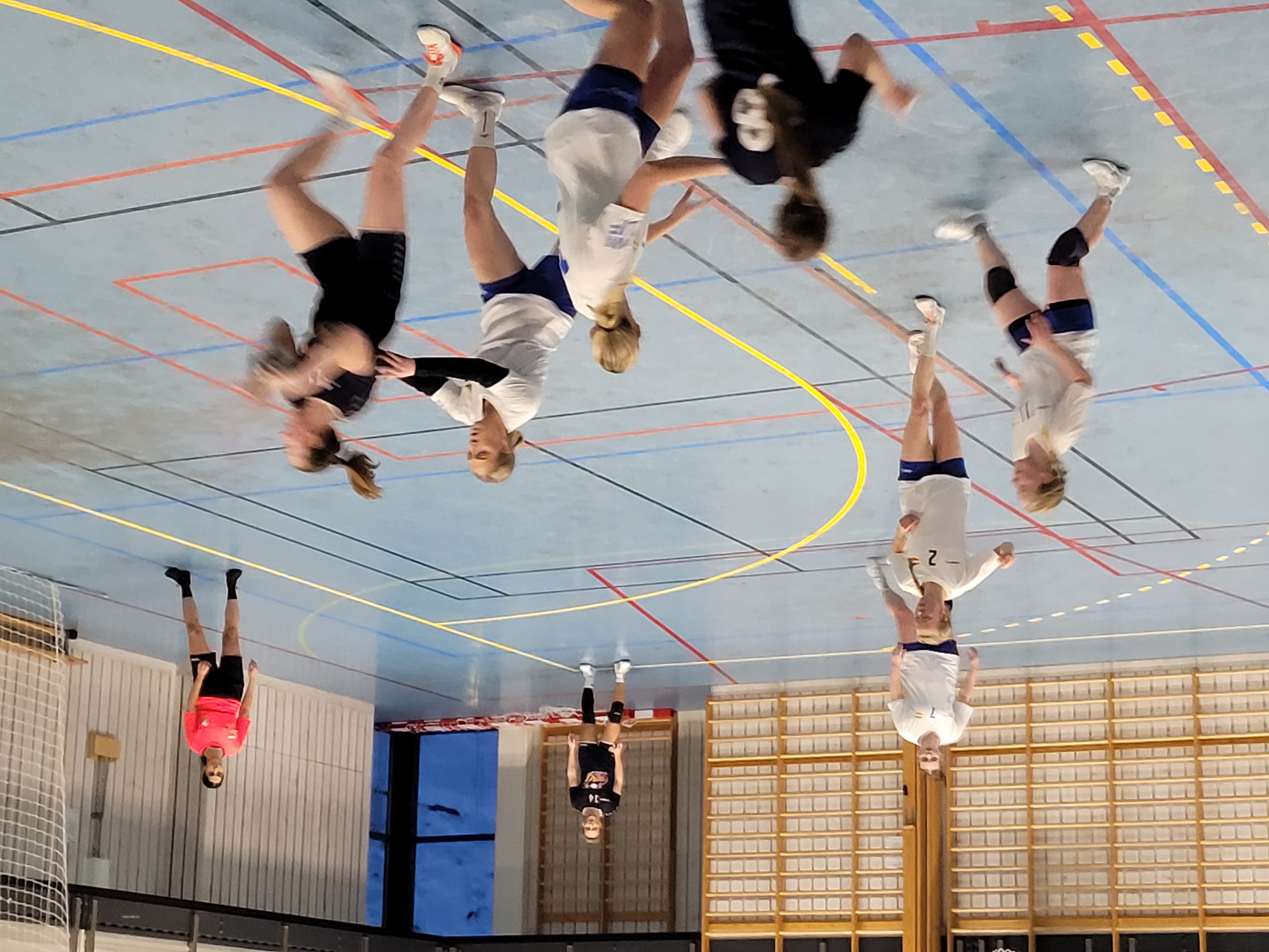 Innkalling til årsmøte for LIF Håndball 2024