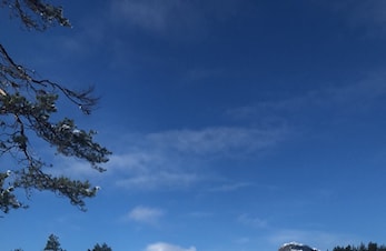 Rabattert brukarbetaling på Langeland.