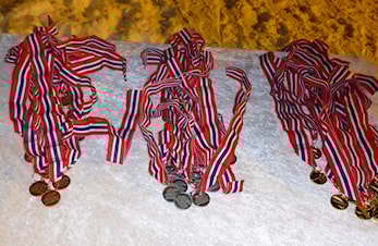 Premiefest utsett.