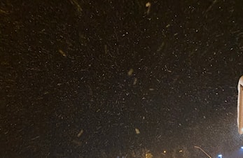 Karusellrenn 16.02.