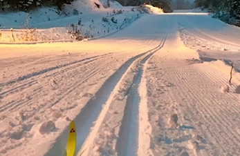 Snøsamling på Geilo