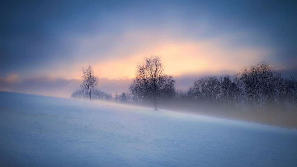 Skiforbundets koronaveileder