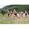 Jørgen Gretland, Nathalie Vatne Aa, Ingvild Øye, Vegard Røyrhus, Hallvard Yksnøy Bergmann greidde svært gode resultat under Ørsta fjellmaraton.