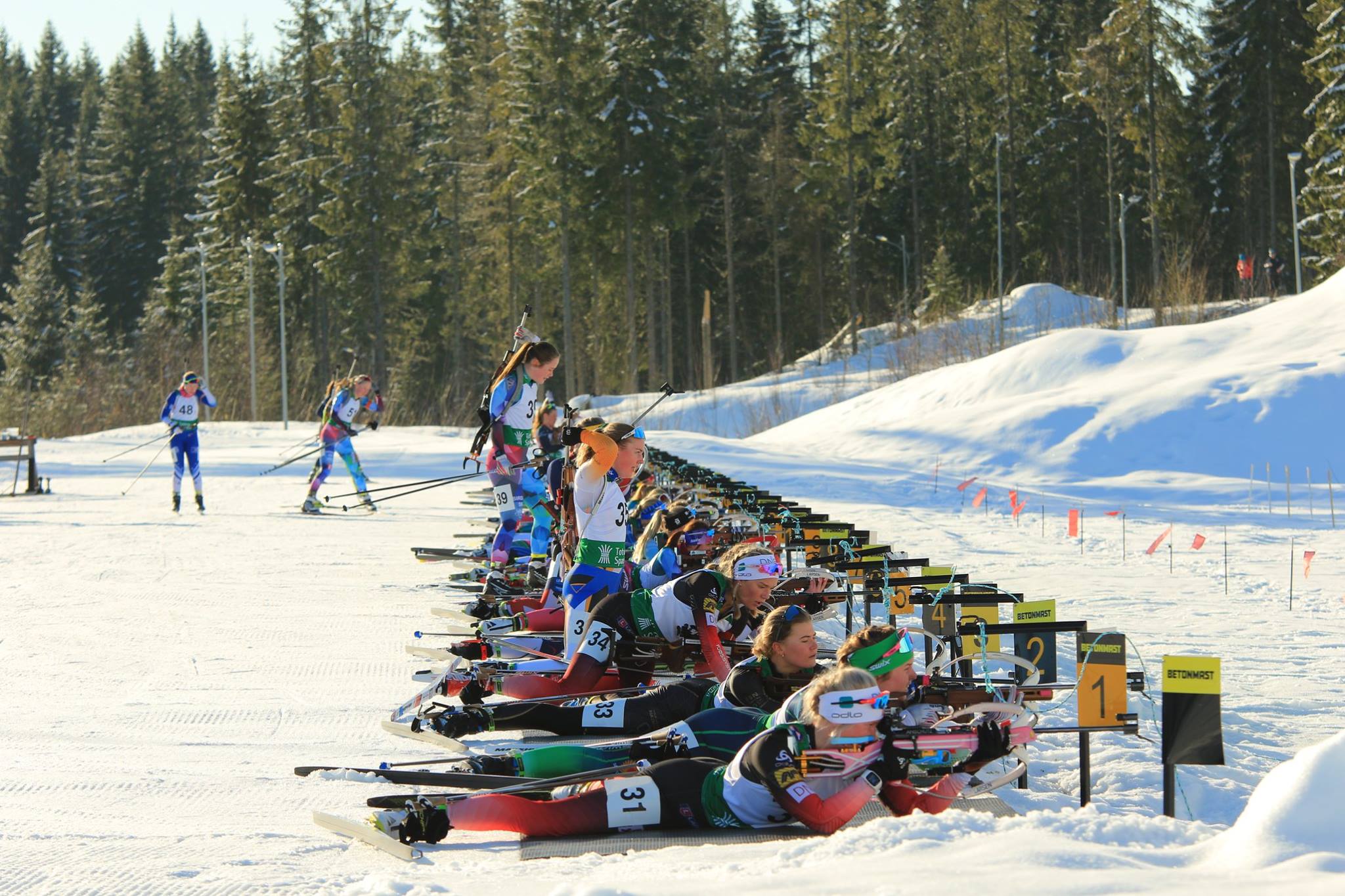 Ikke lys i Karidalen torsdag 19/11