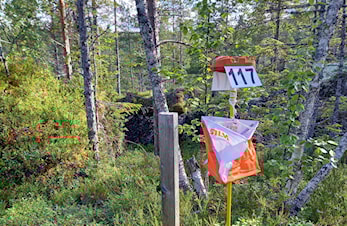 VM 2010 og treningsløp 2022