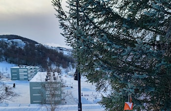 Vintertreningsløpene 2023-2024