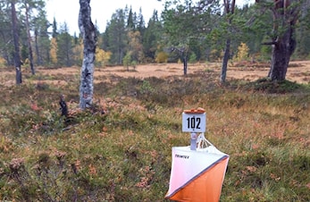 Treninger for barn/unge, høsten 2024