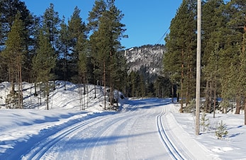 Barn i Løypa 2024 starter tirsdag 9. januar