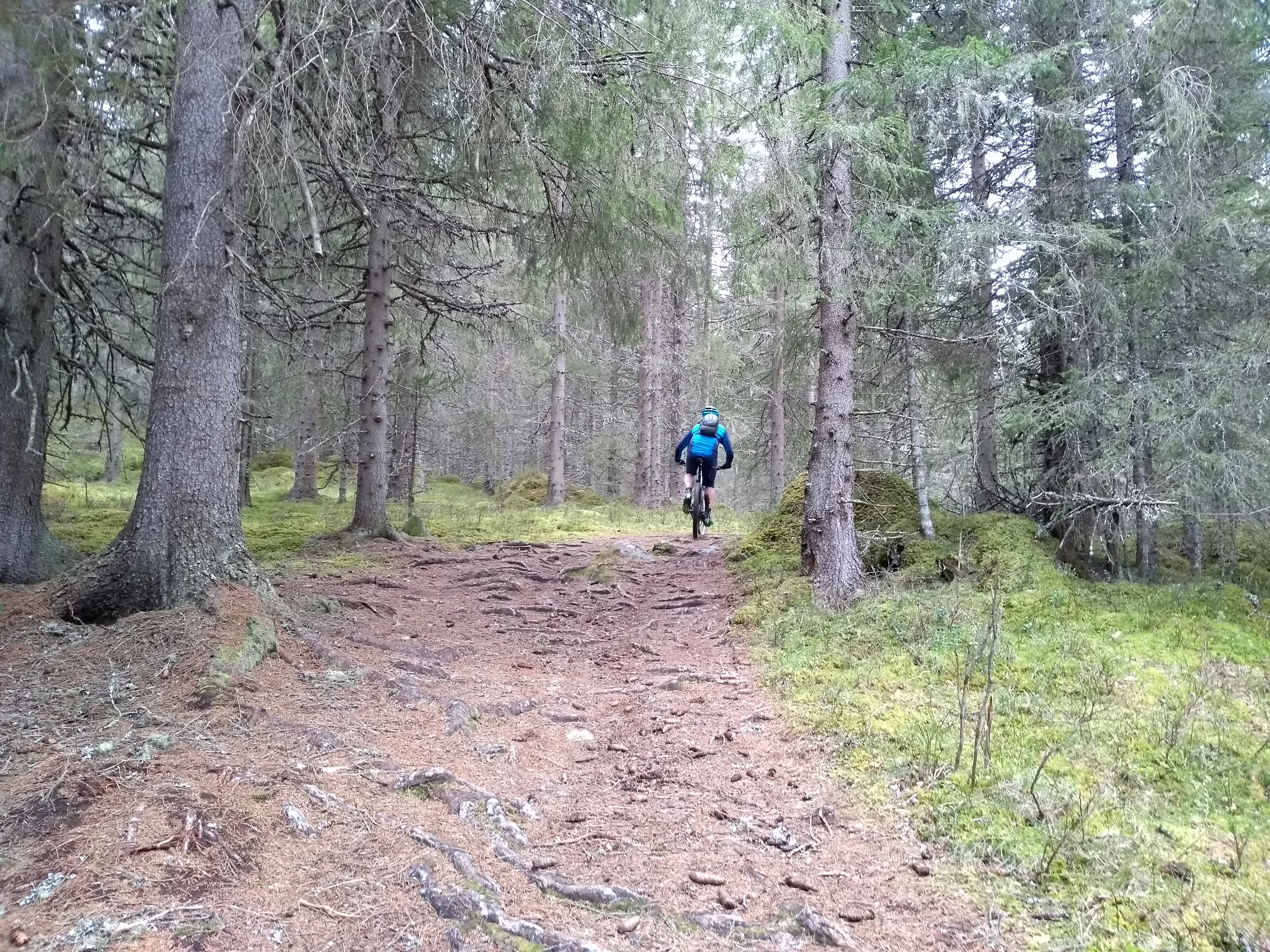 Treninga torsdag 16.5 blir med terrengsykkel
