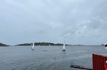 Embla cup 2024